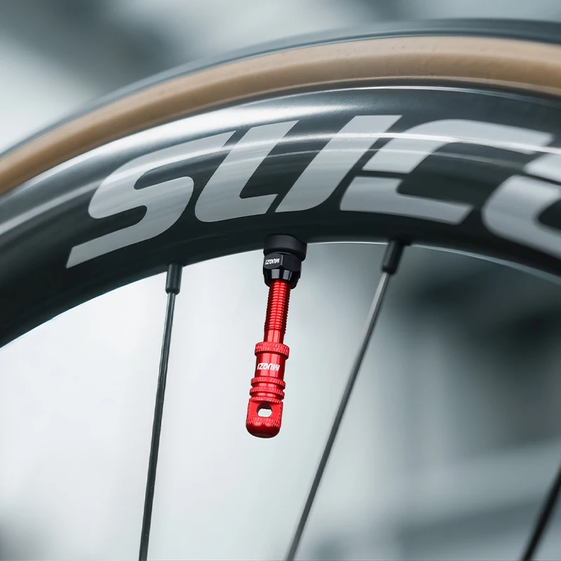 Válvula Presta Tubeless MUQZI  - Tubeless Valve Core avaliação e preço